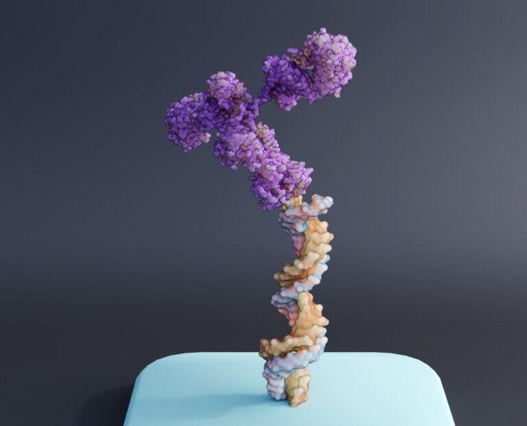 Oligonucleotide APIs and DPs: Assuring A Strong Quality Roadmap For Development